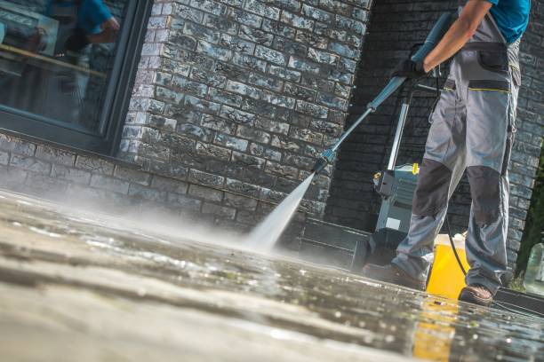 Best Roof Washing  in Cobb Island, MD
